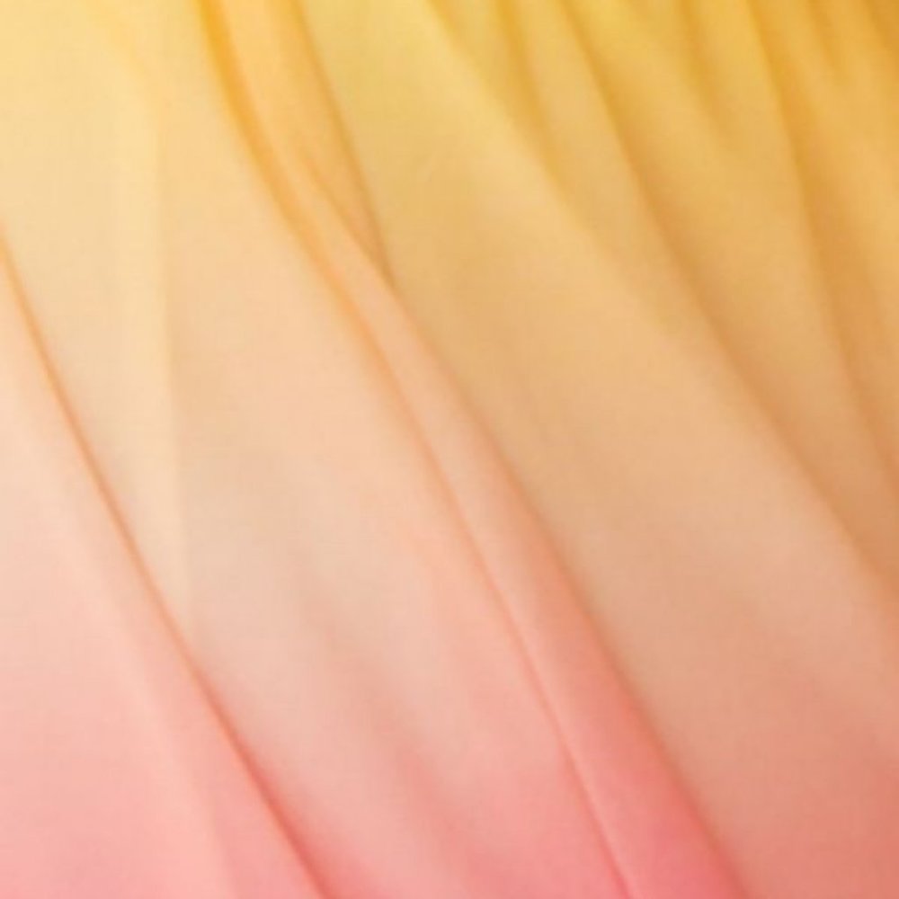 (S) Rainbow Maxi Dress - Picture 5 of 5